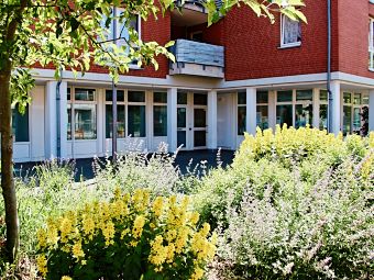 Eingang der Praxis Dr. Bauerfeind mit Blumenbeet